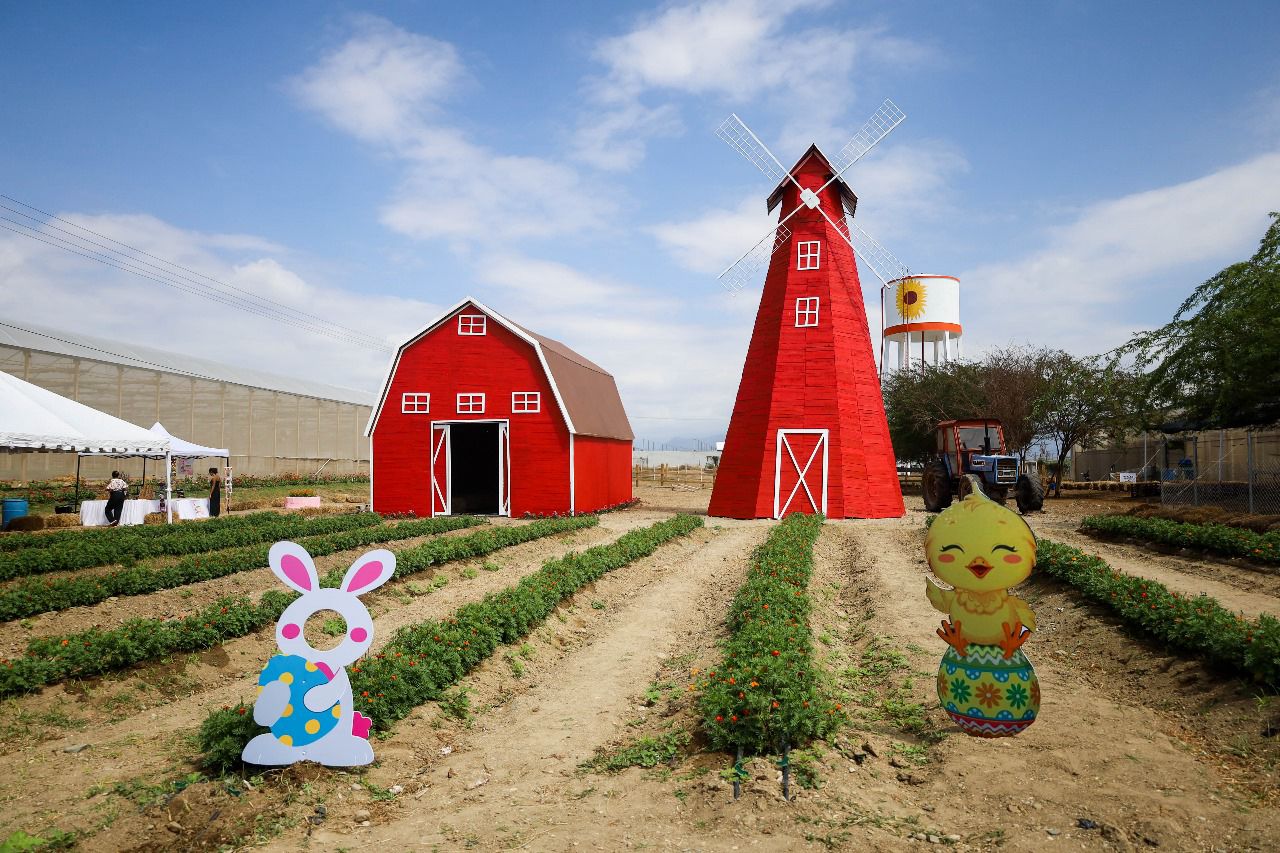 IMG-20250212-WA0098(1)